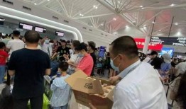 南京机场爆料最新消息,航班调整与出行提示汇总