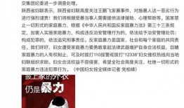 家暴爆料新闻,揭开家暴事件的残酷真相